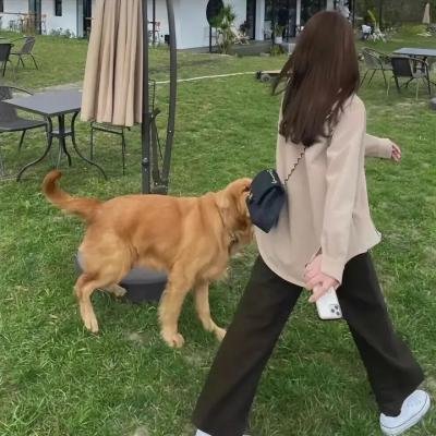 我的野兽男友海报