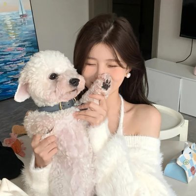 极地爱恋海报